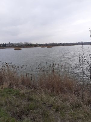 Magdalena Starkowska.jpg